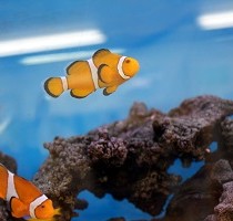 豊橋店内